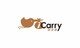 iCarry