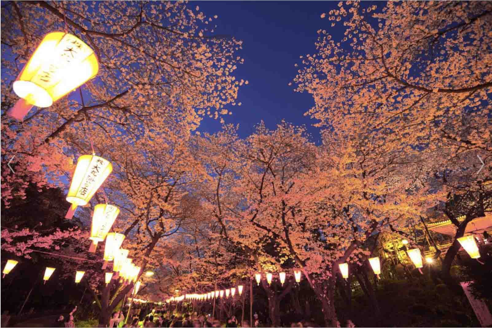 //cdn.funnow.com.tw/images/oblog/上野恩賜公園1拷貝_b8239c.jpg